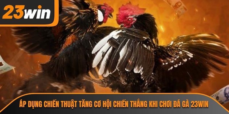 Áp dụng chiến thuật tăng cơ hội chiến thắng khi chơi đá gà 23WIN