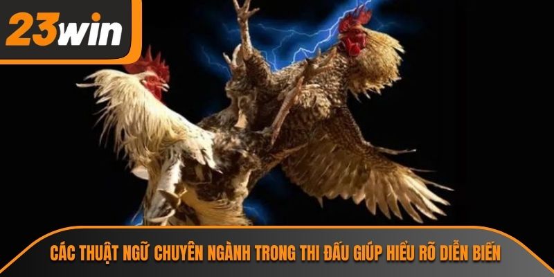 Thuật Ngữ Đá Gà 23WIN Và Tầm Quan Trọng Không Thể Bỏ Qua 3 Các thuật ngữ chuyên ngành trong thi đấu giúp hiểu rõ diễn biến