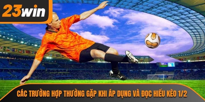 Kèo 1/2 Và Những Thông Tin Cần Biết Tại Cổng Giải Trí 23WIN 2 Các trường hợp thường gặp khi áp dụng và đọc hiểu kèo 1/2