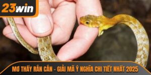 mơ thấy rắn cắn