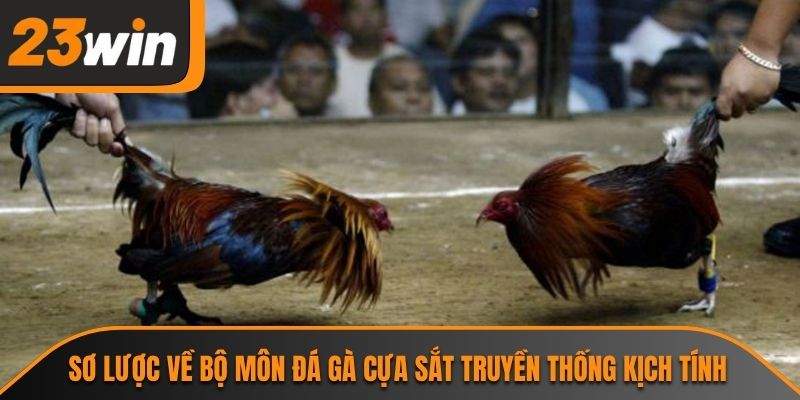 Đá Gà Cựa Sắt 23WIN Và Những Trận Giao Đấu Kịch Tính 1 Sơ lược về bộ môn đá gà cựa sắt truyền thống kịch tính