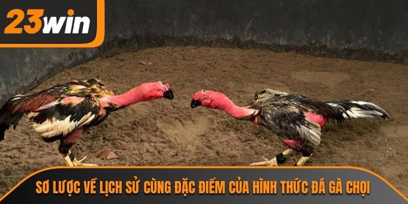 Đá Gà Chọi 23WIN Và Những Thông Tin Cần Biết Về Bộ Môn 1 Sơ lược về lịch sử cùng đặc điểm của hình thức đá gà chọi
