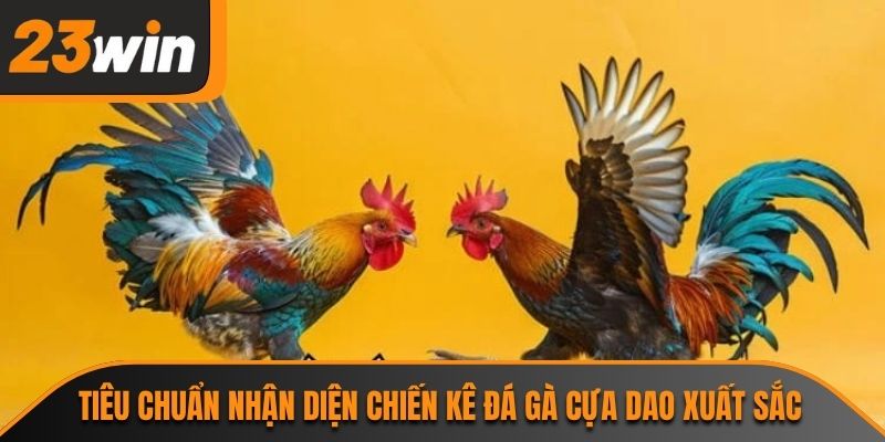 Đá Gà Cựa Dao 23WIN Và Sức Hút Từ Những Trận Đấu Tốc Độ 2 Tiêu chuẩn nhận diện chiến kê đá gà cựa dao xuất sắc