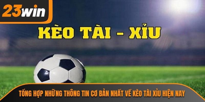 Kèo Tài Xỉu Và Những Thông Tin Cần Nắm Vững Tại 23WIN 1 Tổng hợp những thông tin cơ bản nhất về kèo tài xỉu hiện nay