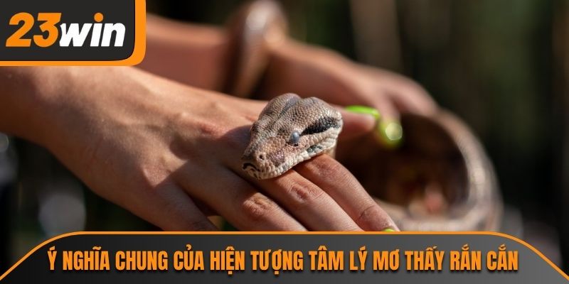Ý nghĩa chung của hiện tượng tâm lý mơ thấy rắn cắn